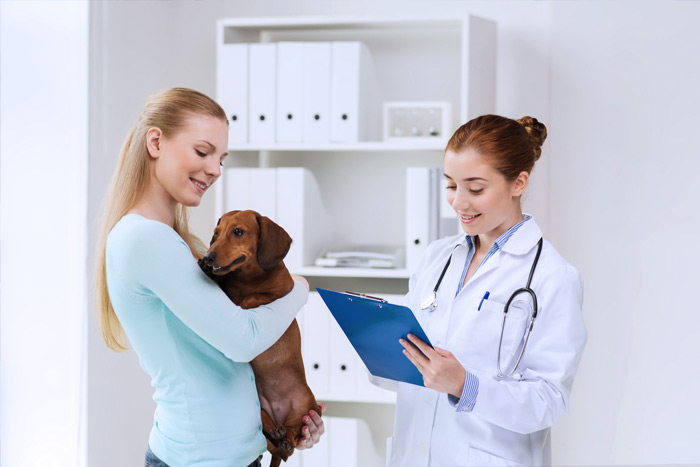 ЭЦП для оформления ветеринарных сертификатов (ГИС Меркурий) в Саках